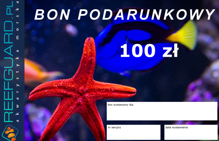 akwarystyka morska szczecin reefguard.pl