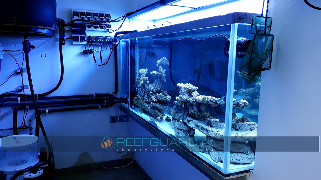 Akwarium Morskie Reefguard Szczecin 7