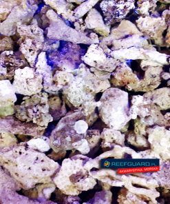 Żywa skała morska drobna do sumpa gruz koralowy 1kg