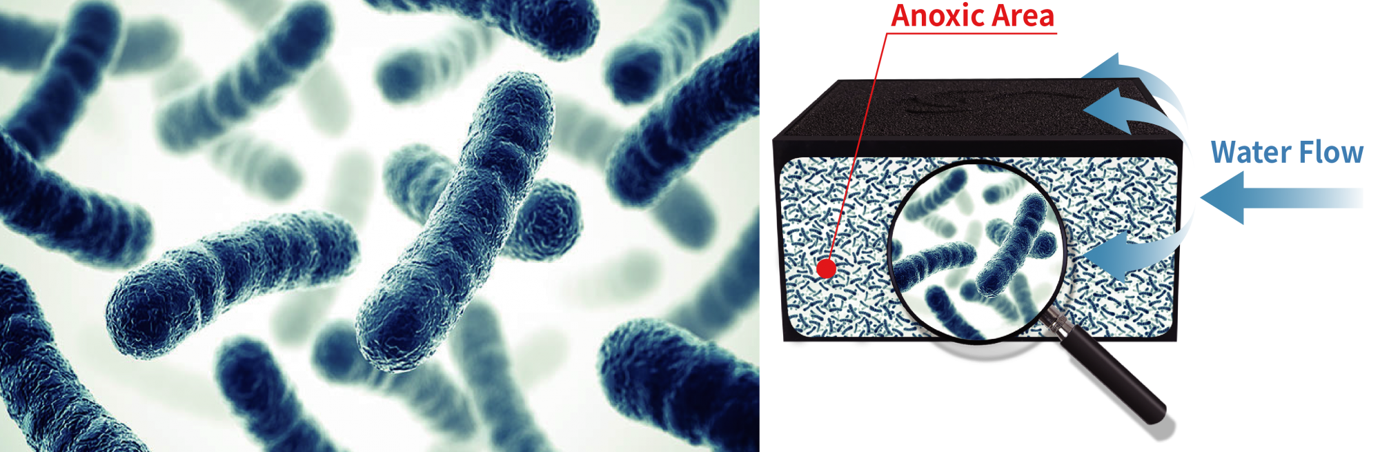 Nano Tech Anaerobic Block Maxspect denitryfikacja usuwa azotany