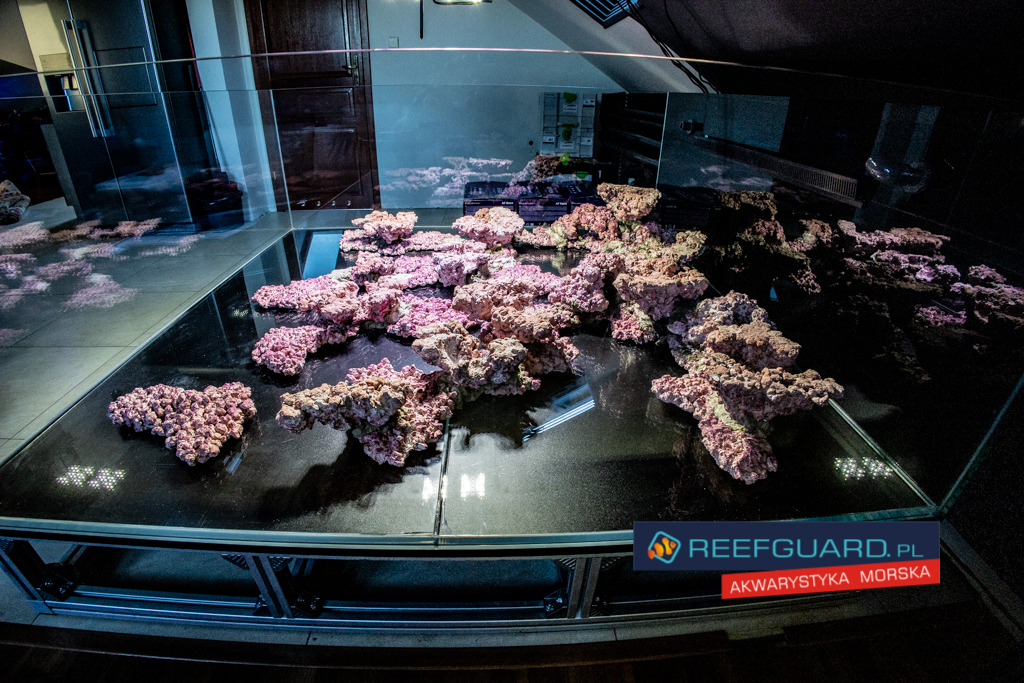 Amazing Aquarium Reefscaping