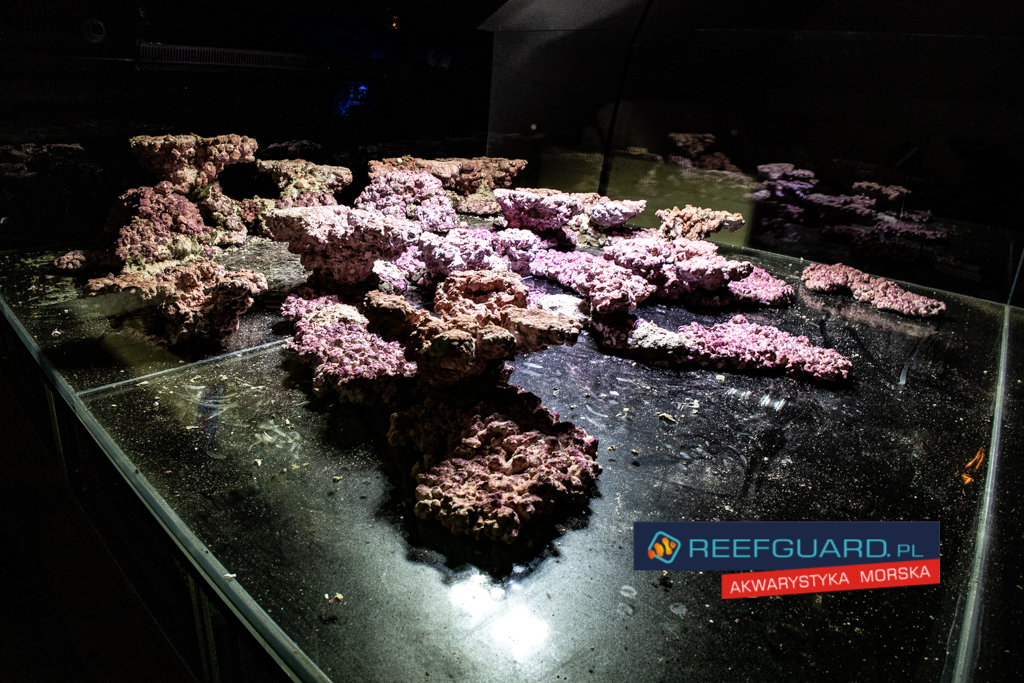 Amazing Reefscaping Reefguard