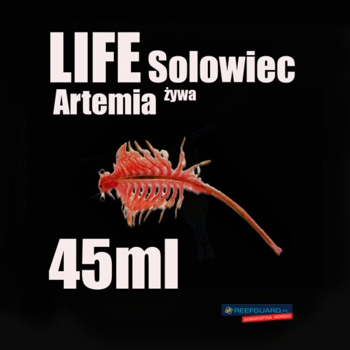 Żywa Artemia Solowiec 45ml